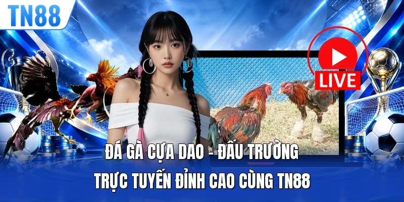 Đá Gà Cựa Dao