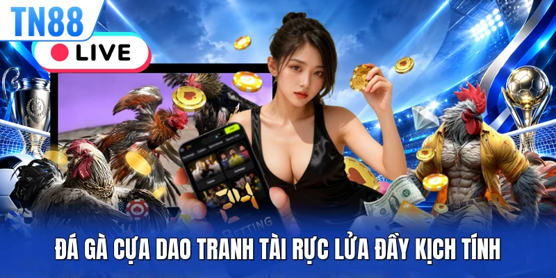 Đá gà cựa dao tranh tài rực lửa đầy kịch tính