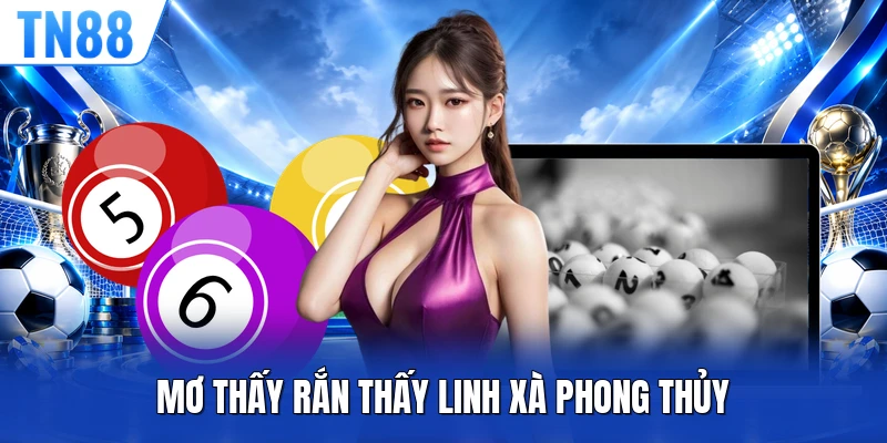 Mơ thấy rắn thấy linh xà phong thủy