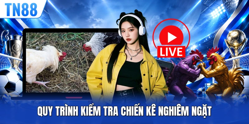 Quy trình kiểm tra chiến kê nghiêm ngặt