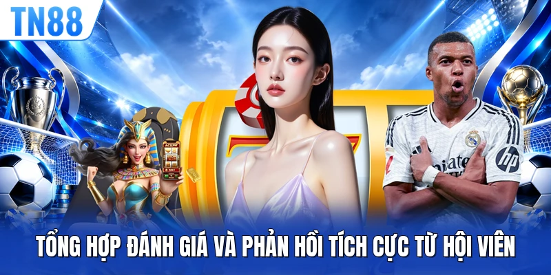 Tổng hợp đánh giá và phản hồi tích cực từ hội viên