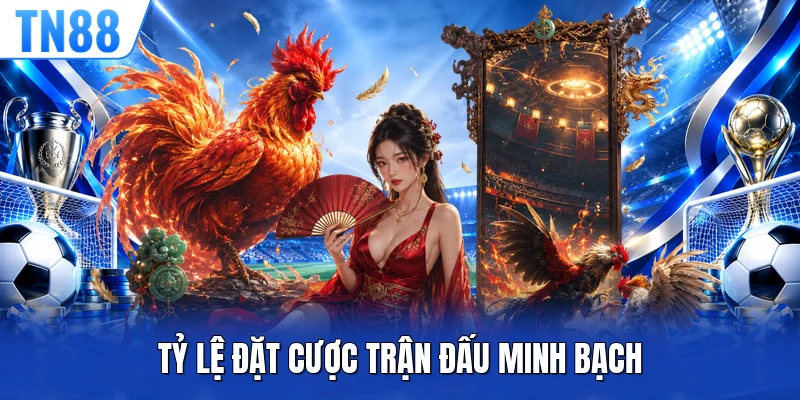 Tỷ lệ đặt cược trận đấu minh bạch